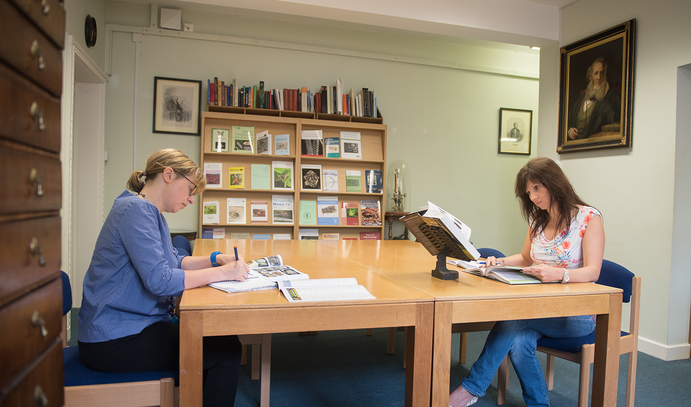 Library reading room, Museum of Natural History