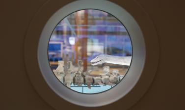 Portholes in the Out of the Deep display allow visitors to peer into the scale models and fossil skeletons