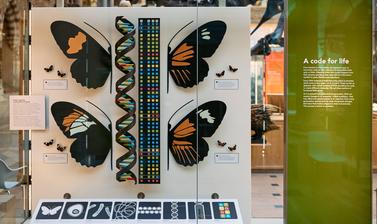 A code for life display