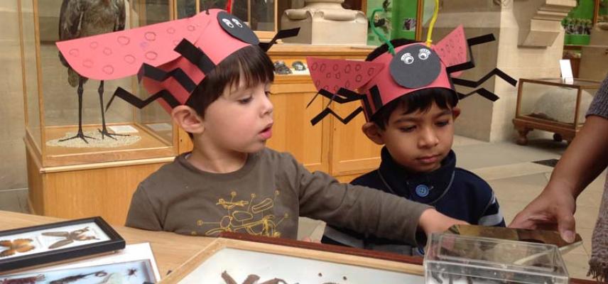 boys and bugs at the Museum