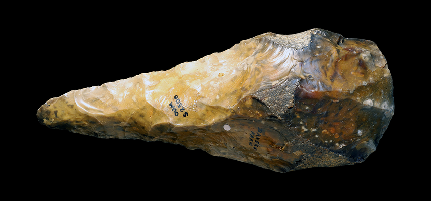 Palaeolith, Oxford University Museum of Natural History