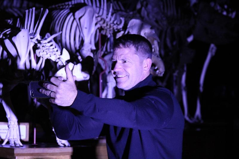 Steve Backshall at OUMNH A man bathed standing in front of a row of mammal skeletons, bathed purple-blue light and looking into a mobile phone