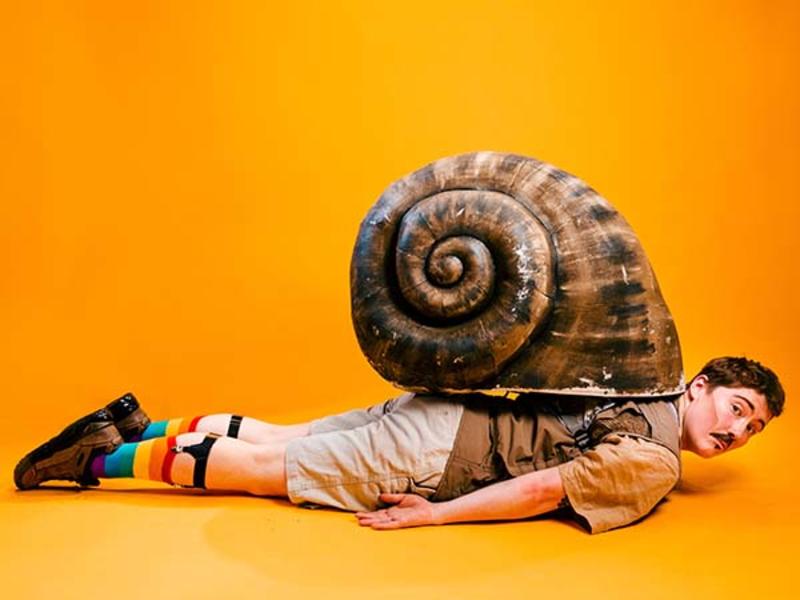 Bi-curious George lying on his stomach with a snail shell on his back.