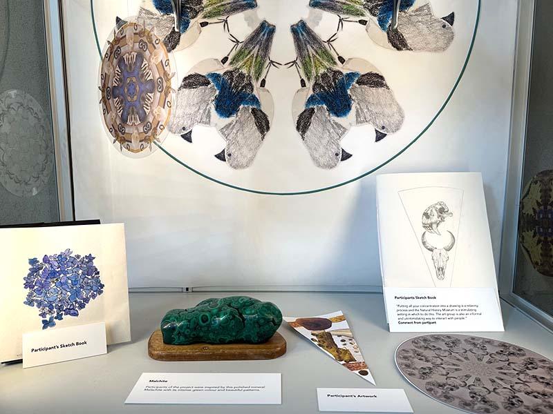 A shelf in the Museum's community case showing examples of participants' work