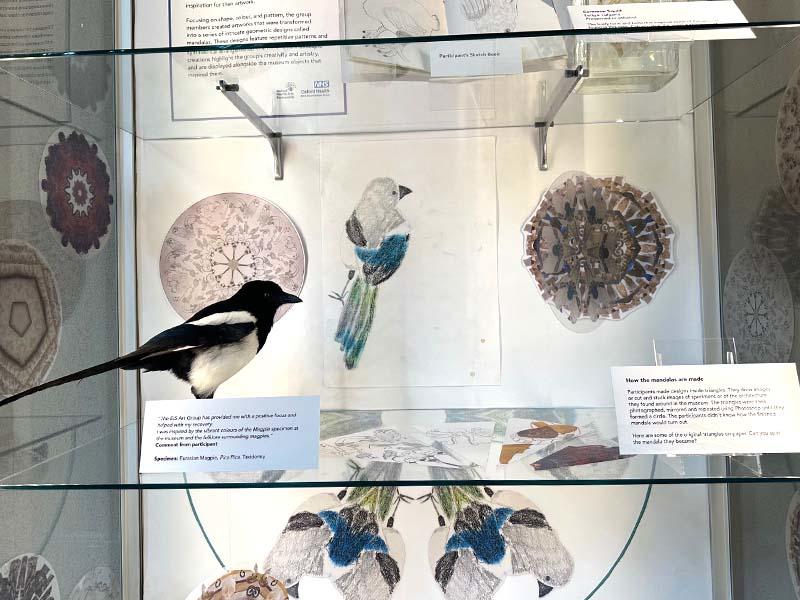 A shelf in the Museum's community case showing examples of participants' work